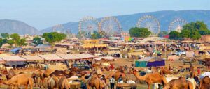 Circuit la foire de Pushkar